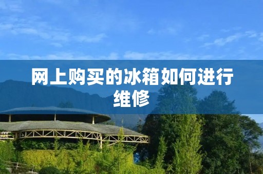 网上购买的冰箱如何进行维修