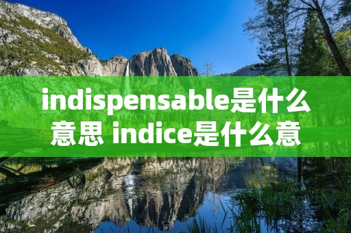 indispensable是什么意思 indice是什么意思