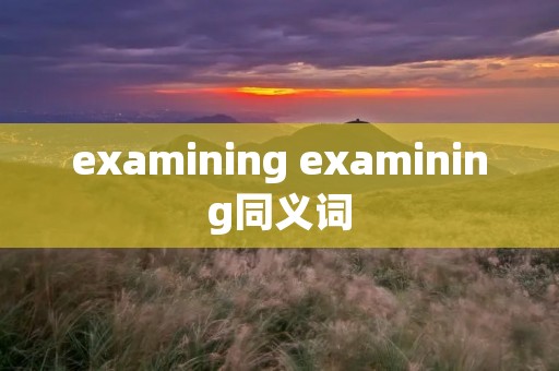 examining examining同义词