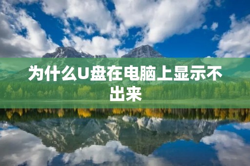 为什么U盘在电脑上显示不出来