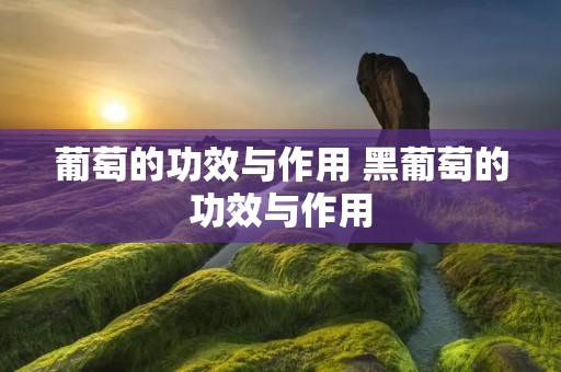葡萄的功效与作用 黑葡萄的功效与作用