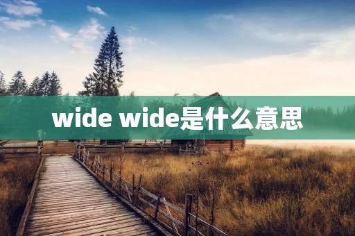 wide wide是什么意思