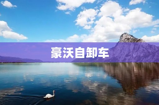 豪沃自卸车:高效可靠的工程运输利器 豪沃自卸车:高效可靠的工程运输利器