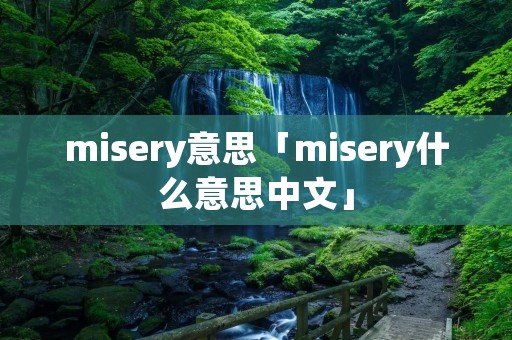misery意思「misery什么意思中文」