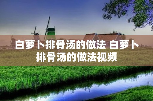 白萝卜排骨汤的做法 白萝卜排骨汤的做法视频 白萝卜排骨汤的做法 白萝卜排骨汤的做法视频