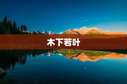 木下若叶：将心比心，感受自然之美