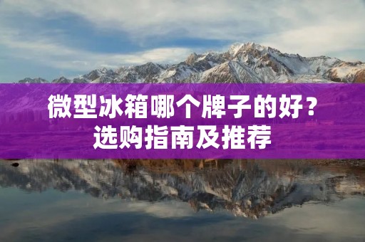 微型冰箱哪个牌子的好？选购指南及推荐