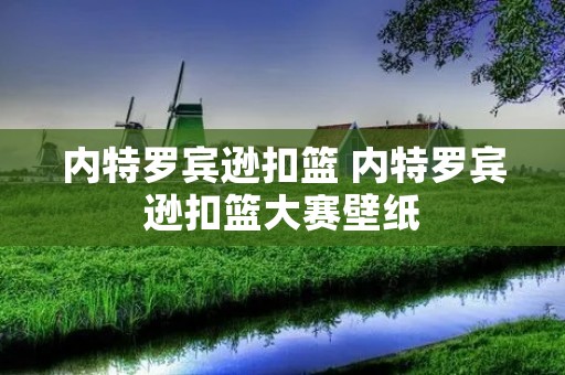 内特罗宾逊扣篮 内特罗宾逊扣篮大赛壁纸 内特罗宾逊扣篮 内特罗宾逊扣篮大赛壁纸