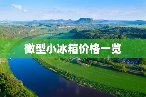 微型小冰箱价格一览：便携小巧，冷藏新选择