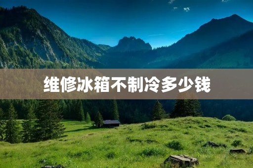 维修冰箱不制冷多少钱：详细解析与成本分析
