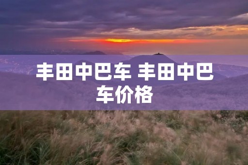 丰田中巴车 丰田中巴车价格 丰田中巴车 丰田中巴车价格