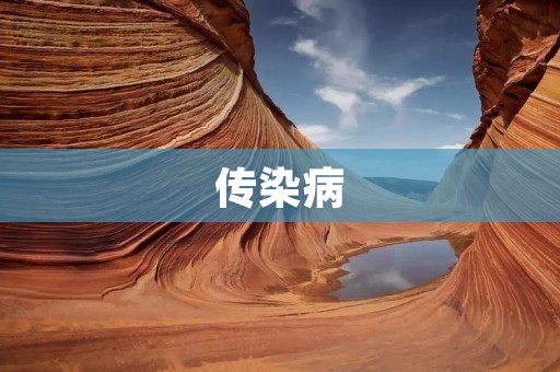 传染病:从源头到传播的全过程