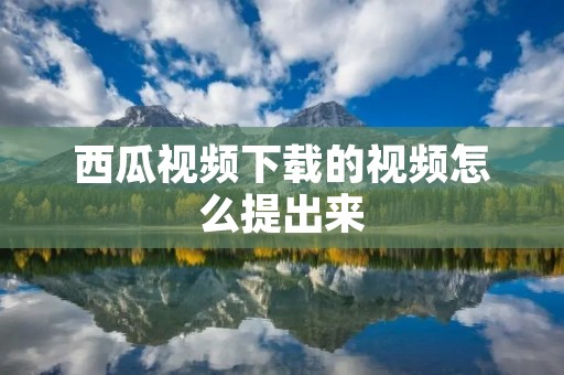 西瓜视频下载的视频怎么提出来