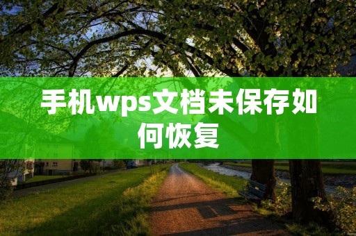 手机wps文档未保存如何恢复