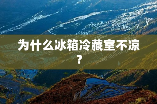 为什么冰箱冷藏室不凉？