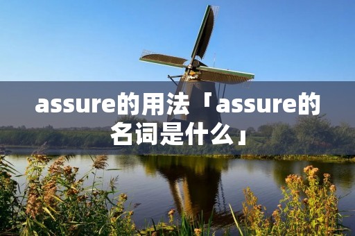assure的用法「assure的名词是什么」