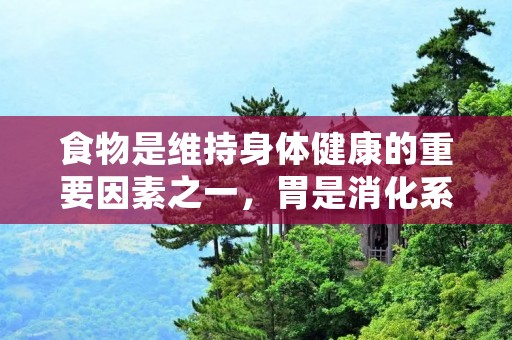 食物是维持身体健康的重要因素之一,胃是消化系统中最重要的器官之一。保持胃的健康对于整个消化过程至关重要。所以,选择适合胃的食物对于我们的健康至关重要。那么,什么食物能够养胃呢?接下来,我们将为您介绍一些养胃的食物,帮助您保持胃的健康。