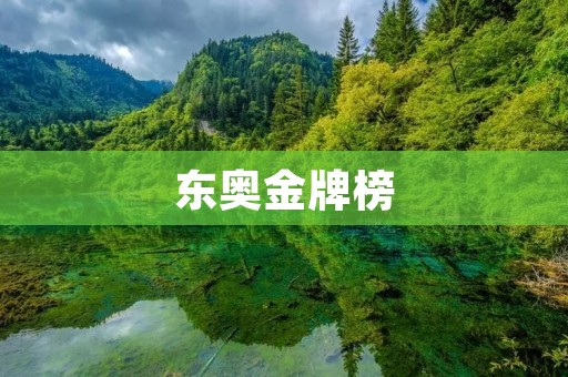 东奥金牌榜：中国力压群雄，再创辉煌