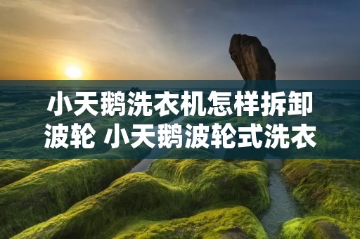 小天鹅洗衣机怎样拆卸波轮 小天鹅波轮式洗衣机拆解 小天鹅洗衣机怎样拆卸波轮 小天鹅波轮式洗衣机拆解