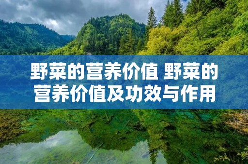 野菜的营养价值 野菜的营养价值及功效与作用禁忌 野菜的营养价值 野菜的营养价值及功效与作用禁忌