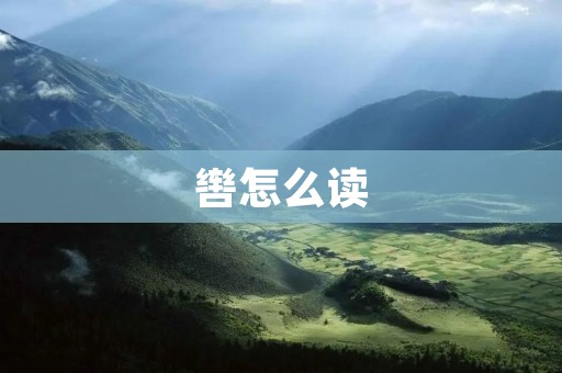 辔怎么读:正确读音是pèi。