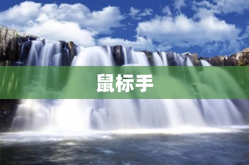 鼠标手:探索现代办公中的常见职业病