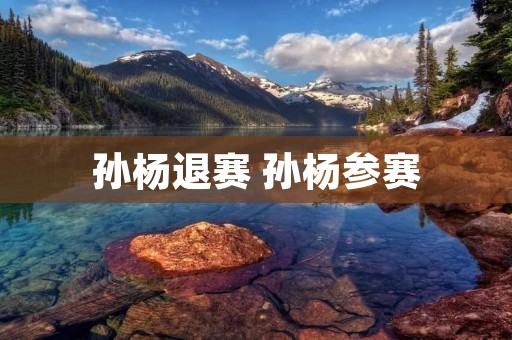 孙杨退赛 孙杨参赛 孙杨退赛 孙杨参赛