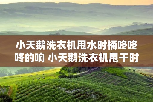 小天鹅洗衣机甩水时桶咚咚咚的响 小天鹅洗衣机甩干时有异响