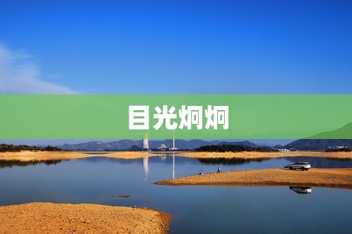 目光炯炯：探寻眼神的奥秘