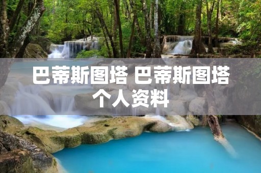 巴蒂斯图塔 巴蒂斯图塔个人资料