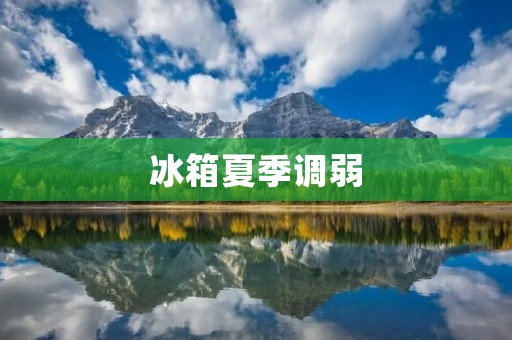 冰箱夏季调弱:为何如此重要? 冰箱夏季调弱:为何如此重要?