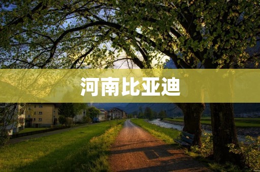 河南比亚迪：引领新能源汽车领域的创新力量