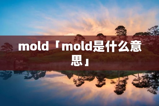 mold「mold是什么意思」