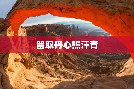留取丹心照汗青:勇往直前的历史足迹