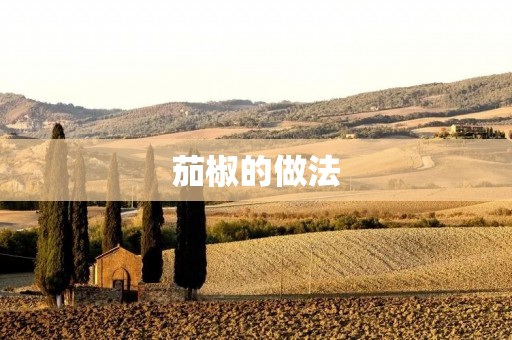 茄椒的做法：美味可口的家常菜