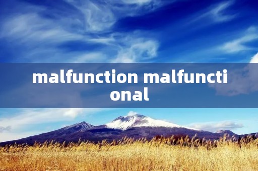 malfunction malfunctional
