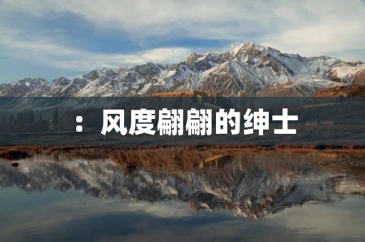 :风度翩翩的绅士:俊俏的近义词
