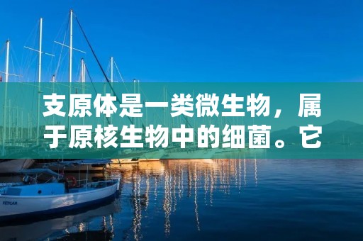支原体是一类微生物,属于原核生物中的细菌。它们是一种寄生菌,可以感染人体和动物体内,引起多种疾病。支原体具有很小的体积,一般直径约为0.2到0.3微米,只能在显微镜下观察到。它们的形态多样,有球状、杆状、螺旋状等不同形状。