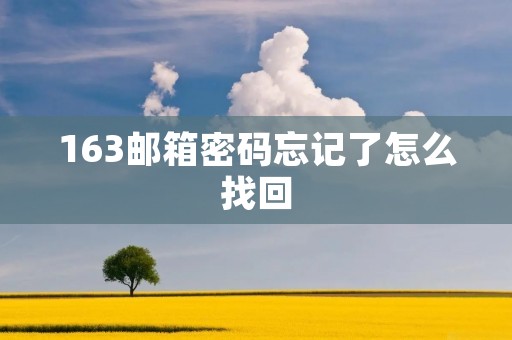 163邮箱密码忘记了怎么找回