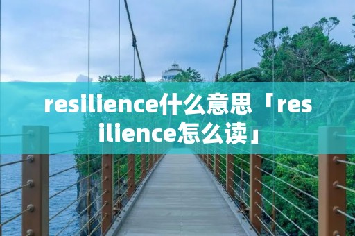 resilience什么意思「resilience怎么读」