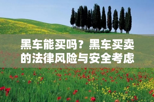 **能买吗？**买卖的法律风险与安全考虑