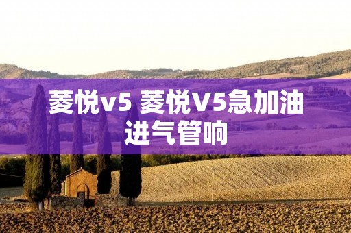 菱悦v5 菱悦V5急加油进气管响