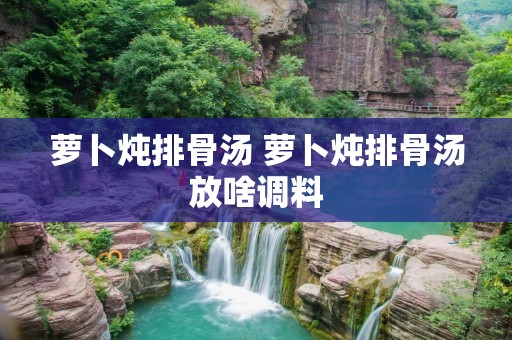 萝卜炖排骨汤 萝卜炖排骨汤放啥调料 萝卜炖排骨汤 萝卜炖排骨汤放啥调料