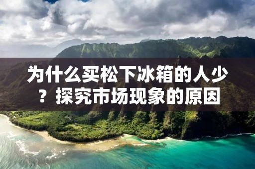 为什么买松下冰箱的人少？探究市场现象的原因