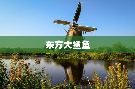 东方大鲨鱼：海洋之王的传奇