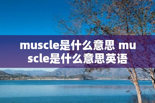 muscle是什么意思 muscle是什么意思英语