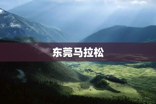 东莞马拉松：挑战极限，感受**的盛宴