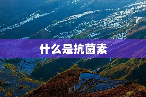 什么是抗菌素:探寻抗菌素的定义和作用