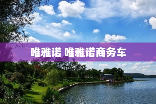 唯雅诺 唯雅诺商务车 唯雅诺 唯雅诺商务车