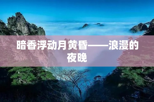 暗香浮动月黄昏——浪漫的夜晚